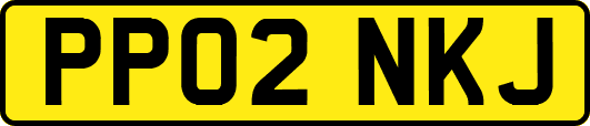 PP02NKJ