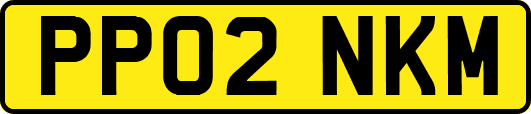 PP02NKM