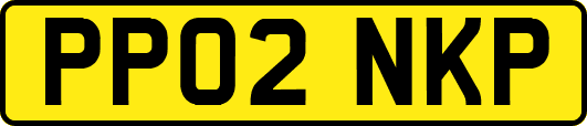 PP02NKP
