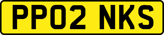 PP02NKS