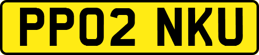PP02NKU