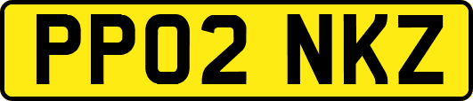 PP02NKZ