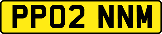 PP02NNM