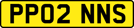 PP02NNS