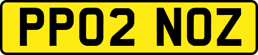 PP02NOZ