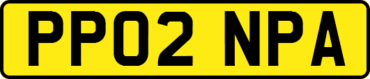 PP02NPA