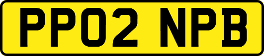 PP02NPB