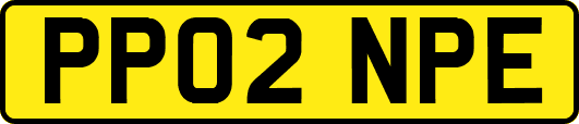 PP02NPE
