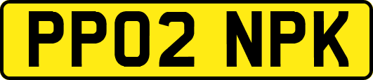 PP02NPK