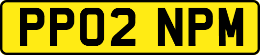 PP02NPM