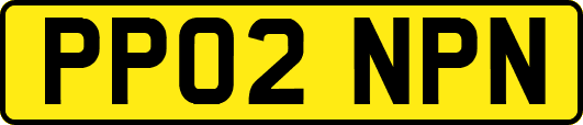PP02NPN