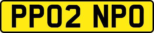 PP02NPO
