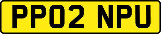 PP02NPU