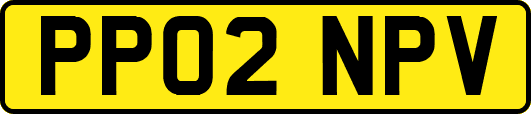 PP02NPV