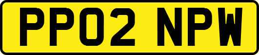 PP02NPW