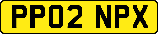 PP02NPX