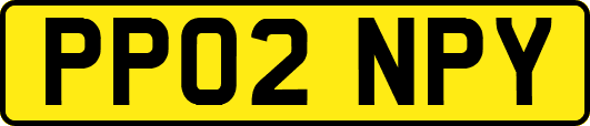 PP02NPY
