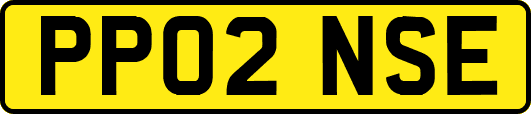 PP02NSE