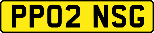 PP02NSG