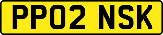 PP02NSK