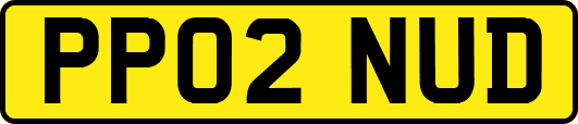 PP02NUD
