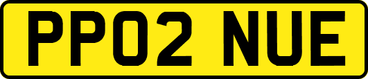 PP02NUE