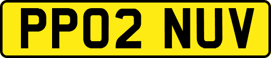 PP02NUV
