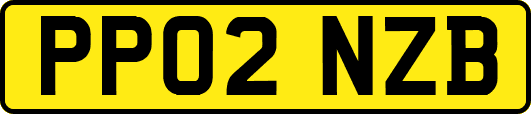 PP02NZB