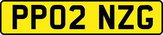 PP02NZG