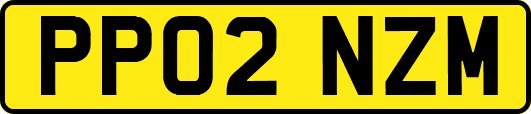 PP02NZM