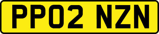 PP02NZN