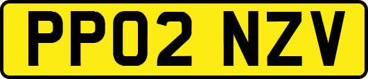 PP02NZV