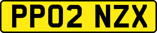 PP02NZX