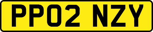 PP02NZY