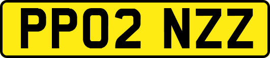 PP02NZZ
