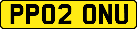 PP02ONU