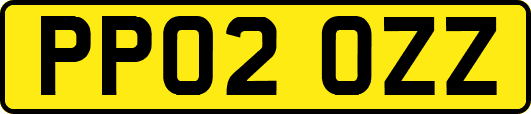 PP02OZZ