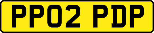PP02PDP