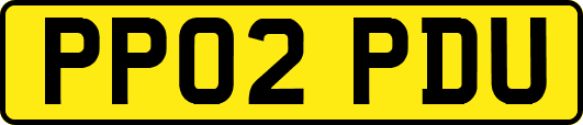 PP02PDU