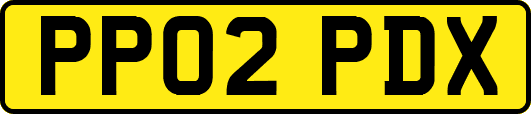 PP02PDX