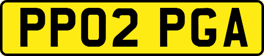 PP02PGA
