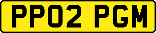 PP02PGM