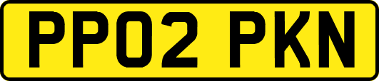 PP02PKN