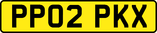 PP02PKX