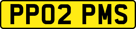 PP02PMS