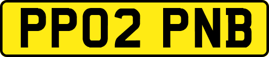 PP02PNB