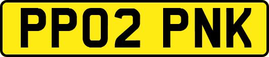 PP02PNK