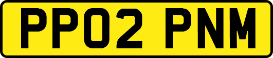 PP02PNM