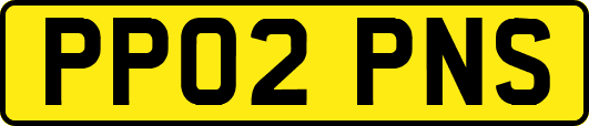 PP02PNS