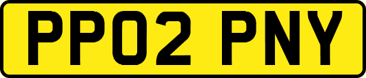 PP02PNY